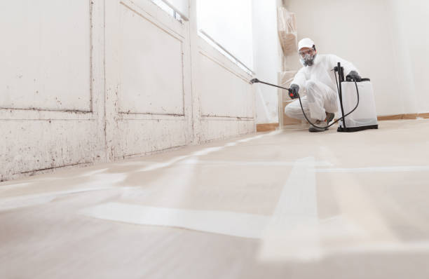 24/7 Emergency Mold Removal experts in Spring Hope, NC