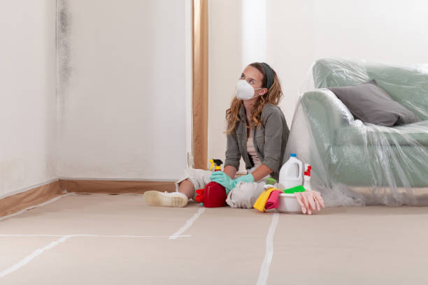 Reliable Mold Removal contractor in Spring Hope, NC by WQB Mold Removal